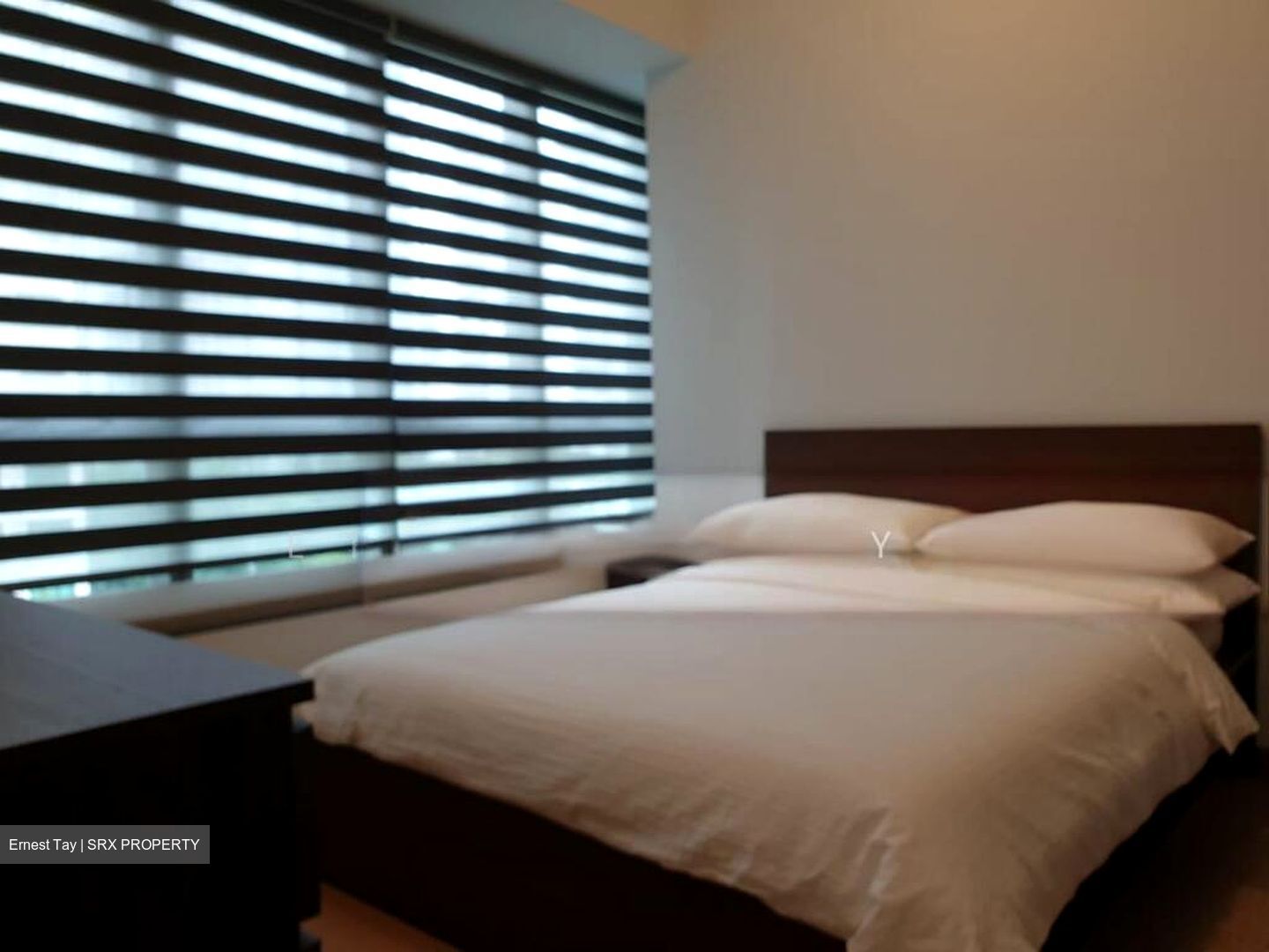 8 Saint Thomas (D9), Condominium #507886661
